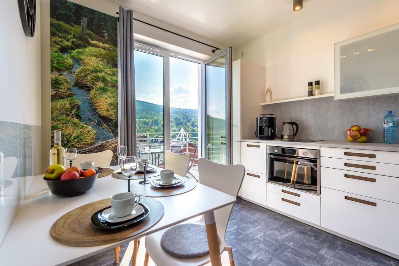 Logana Z Sauna - 5d Apartment Swieradow-Zdroj